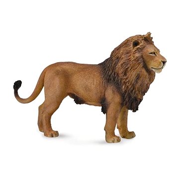 

Collecta Lev