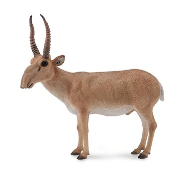 

Collecta Sajga tatarská