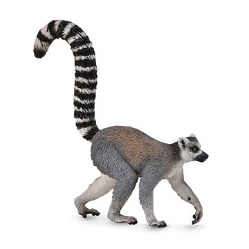 

Collecta Lemur kata