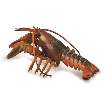 

Collecta Humr