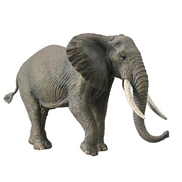 

Collecta Slon africký