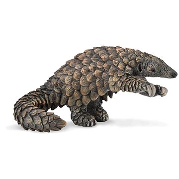 

Collecta Luskoun tlustoocasý
