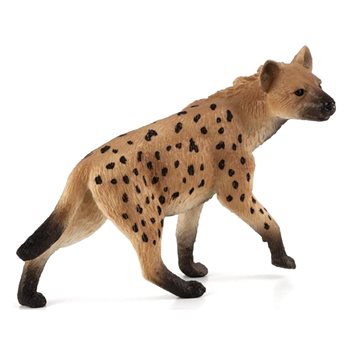 

Mojo - Hyena