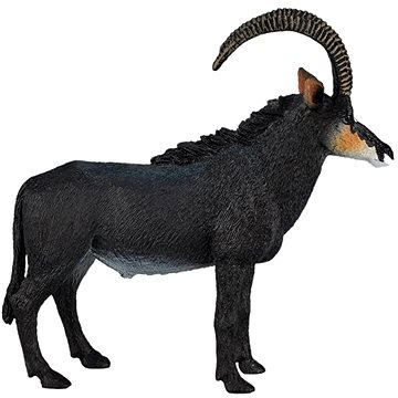 

Mojo - Antilopa vraná