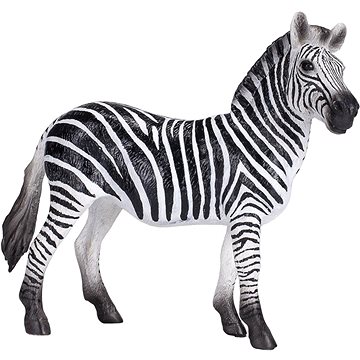 

Mojo - Zebra samice