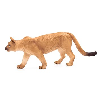 

Mojo - Puma americka