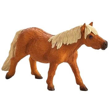 

Mojo - Shetlandský pony
