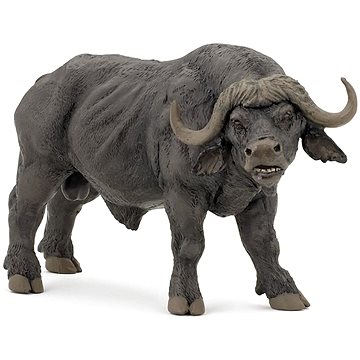 

PAPO Buvol africký