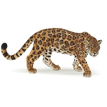 

PAPO Jaguár