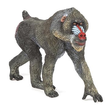 

PAPO Mandril