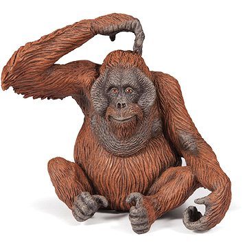 

PAPO Orangutang