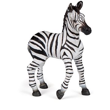 

PAPO Zebra mládě