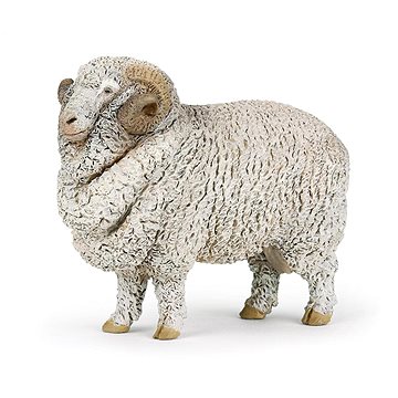 

PAPO Beran merino