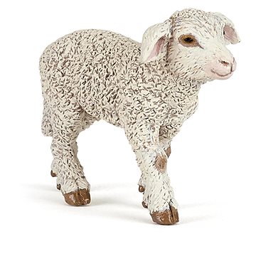 

PAPO Jehně Merino