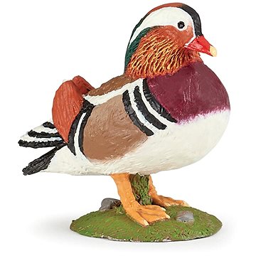 

PAPO Kachna mandarinská