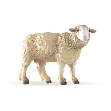 

PAPO Ovce Merinos