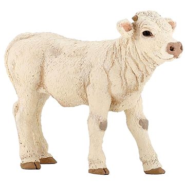 

PAPO Telátko Charolais