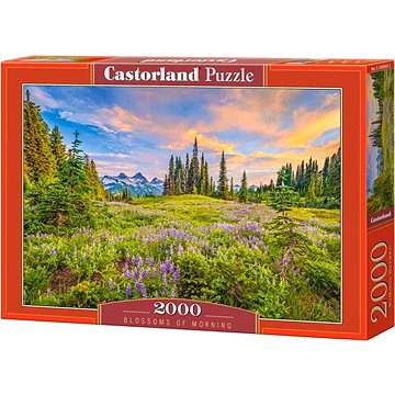 

CASTORLAND Puzzle Ranní květy 2000 dílků