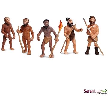 

Safari Ltd. Vývoj člověka