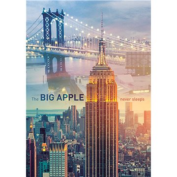 

Trefl Puzzle New York za úsvitu 1000 dílků