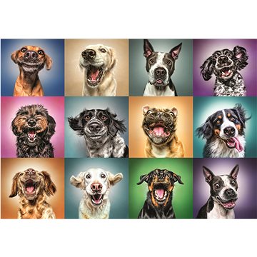 

Trefl Puzzle Veselé psí portréty 1000 dílků