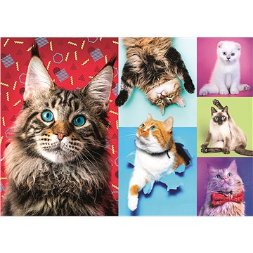 

Trefl Puzzle Veselé kočky 1000 dílků