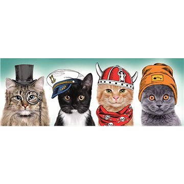 

Trefl Panoramatické puzzle Hebký tým 500 dílků