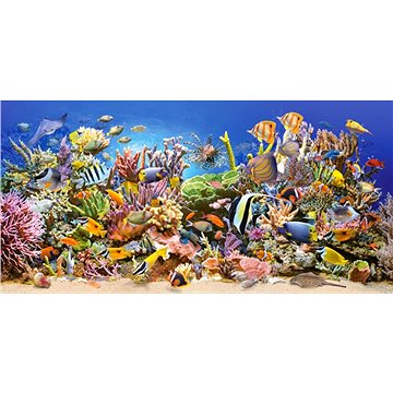 

Castorland Puzzle Podmořský život 4000 dílků