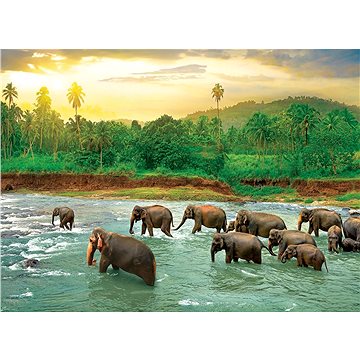 

Eurographics Puzzle Save Our Planet: Deštný prales 1000 dílků