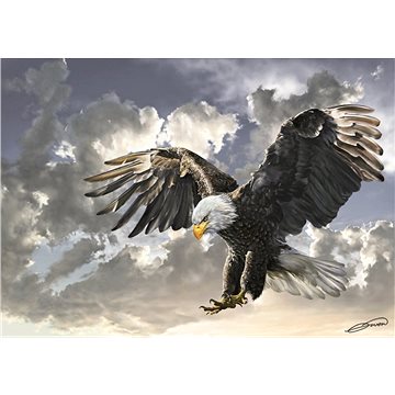 

Art Puzzle Černá a bílá 500 dílků