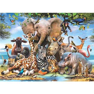 

Anatolian Puzzle Africký úsměv 1000 dílků