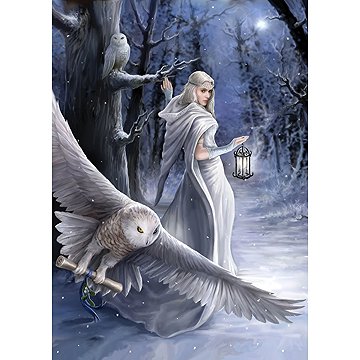 

Art Puzzle Kolekce Anne Stokes: Půlnoční posel 1000 dílků