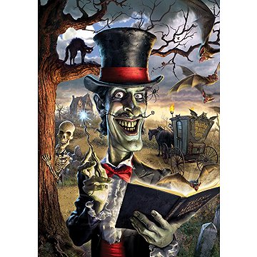 

Art Puzzle Kouzelník 500 dílků