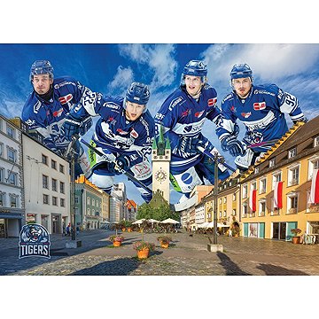 

Eurographics Straubing Tigers 1000 dílků