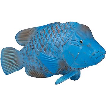 

Mojo Fun ryba modrý groper