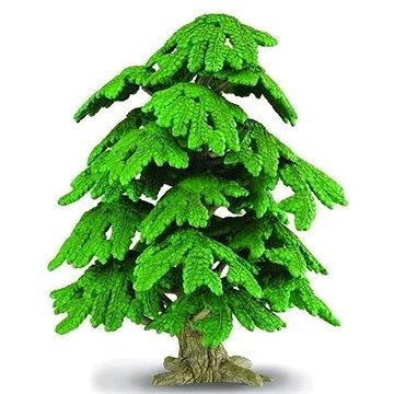 

Collecta strom Ginkgo Biloba