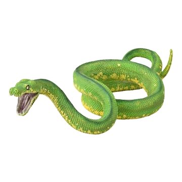 

Collecta krajta zelená