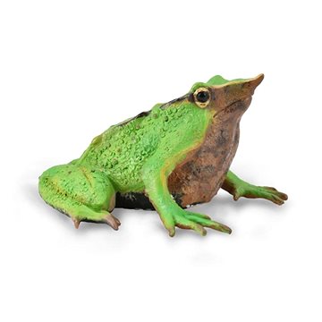 

Collecta žába Nosatka Darwinova