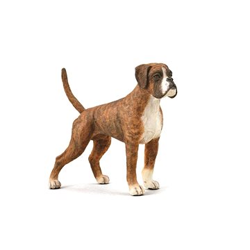 

Collecta pes Boxer