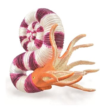

Collecta Pravitoceras
