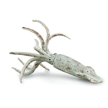 

Collecta Belemnit