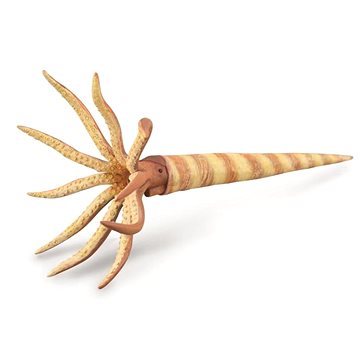 

Collecta Orthoceras
