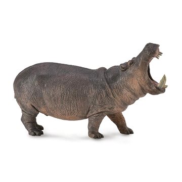 

Collecta hroch