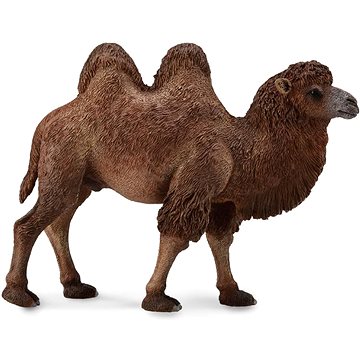

Collecta velbloud dvouhrbý