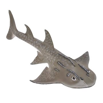 

Collecta žralok Kytarovec křivoústý