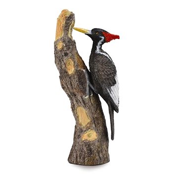 

Collecta datel