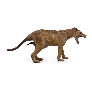 

Collecta tasmánský vakovlk samice