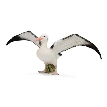 

Collecta Albatros stěhovavý