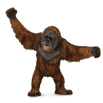 

Collecta orangutan