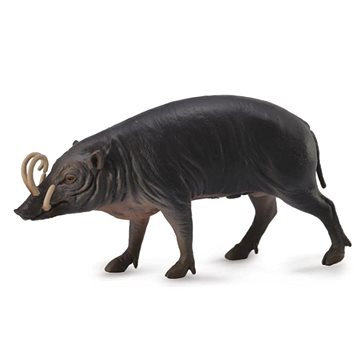 

Collecta Babirusa sulaweská